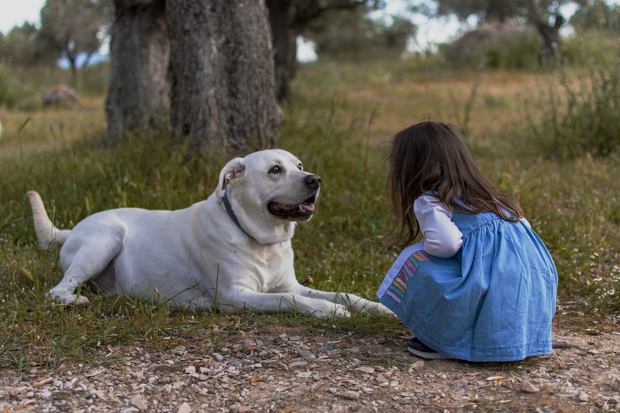 Leggere con gli animali