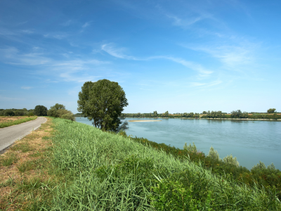 Allerta Meteo n. 162/2024 codice arancione rischio idraulico