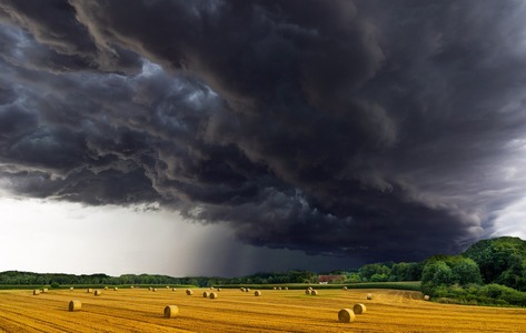 Allerta meteo n. 131/2024 codice giallo rischio temporali