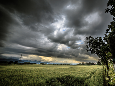 Allerta meteo n. 136/2024 - Rischio temporali codice arancione